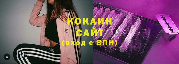 стафф Магадан