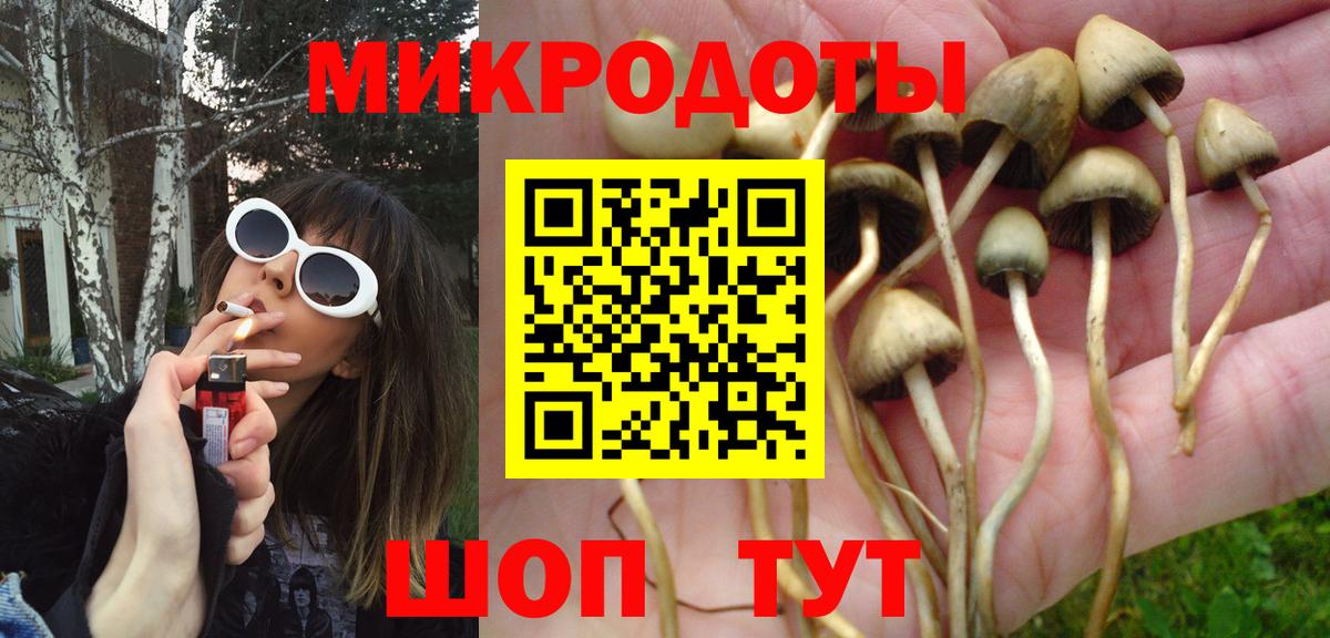 Псилоцибиновые грибы мицелий Жуковский