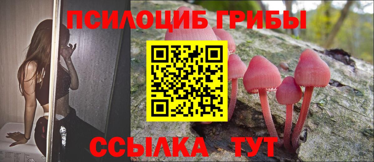 Галлюциногенные грибы Magic Shrooms  Галлюциногенные грибы прущие грибы  Жуковский 