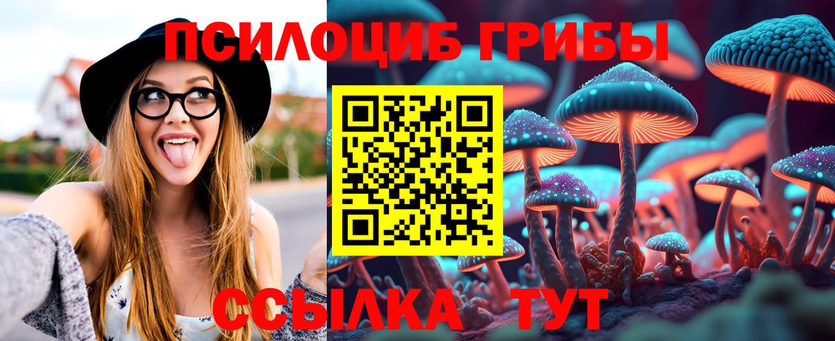 Жуковский  Псилоцибиновые грибы ЛСД  Вход с VPN 